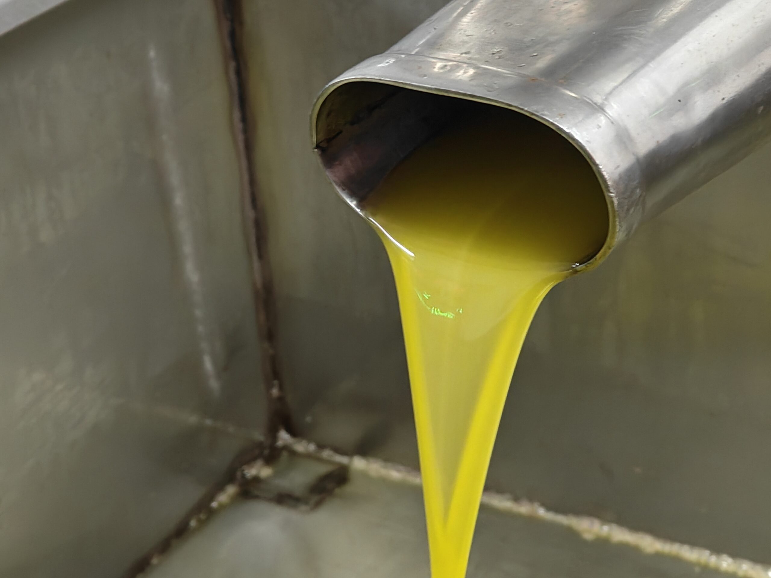 Estrazione olio a freddo